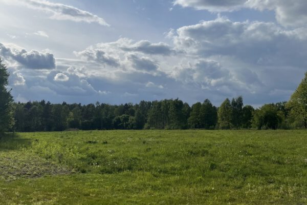 Domy -stan deweloperski -na sprzedaż -Chełm Śląski