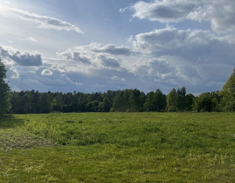 Domy -stan deweloperski -na sprzedaż -Chełm Śląski – 8