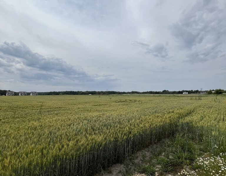 Duża Działka – Świetna Pod Zabudowę Mieszkaniową