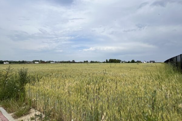 Duża Działka – Świetna Pod Zabudowę Mieszkaniową