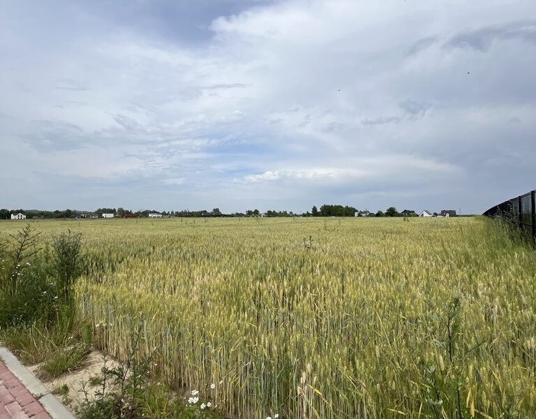 Duża Działka – Świetna Pod Zabudowę Mieszkaniową – 4