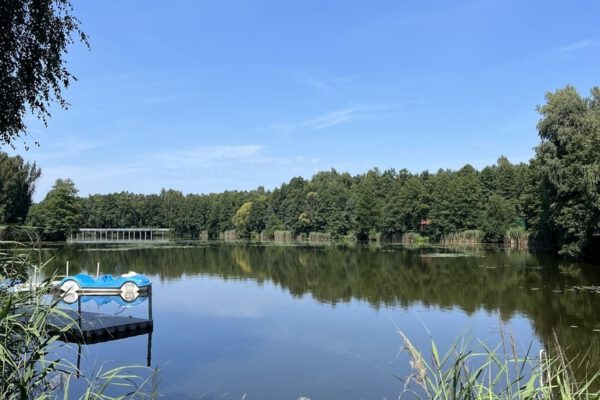 Przytulne mieszkanie w sercu Chełmka