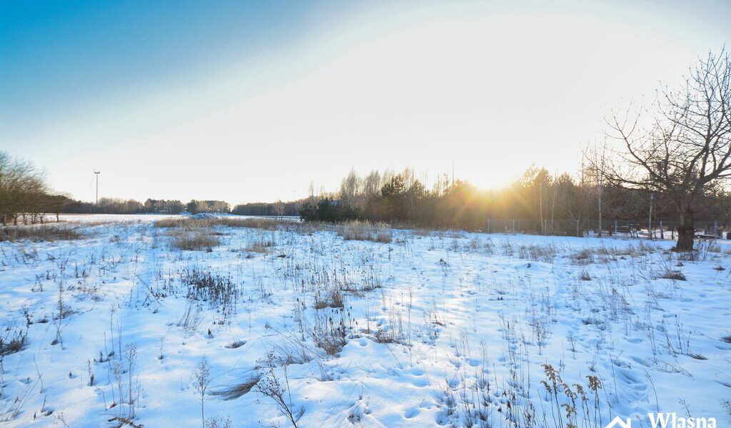 Siedlisko z duszą , lasy i pola, gmina Jedlińsk – 15