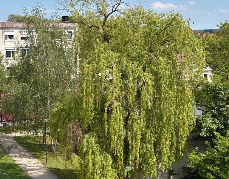 REZERWACJA – 9