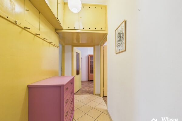 Centrum/ 3 pokoje/ duża widna kuchnia/ parter