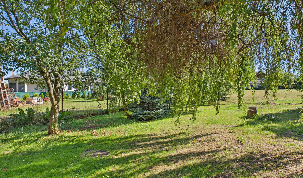 Twój dom wśród zieleni | Taras, ogród – 12